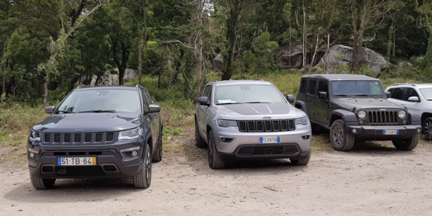 Jeep`s in het wild, zeven sleuven!